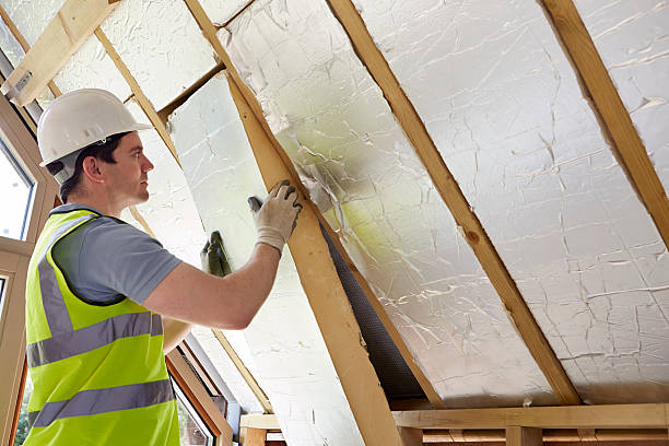 Best Specialized Insulation Services in Eastlake, OH